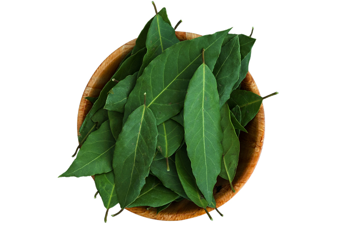 Laurel
